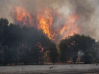 Incendiile scapă de sub control: Franța cere ajutorul UE, iar Spania declară stare de urgență națională (Foto&Video)