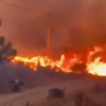 Incendiile din Franța și Spania fac prima victimă. Aproape 270.000 de oameni au fost evacuați