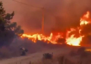 Incendiile din Franța și Spania fac prima victimă. Aproape 270.000 de oameni au fost evacuați