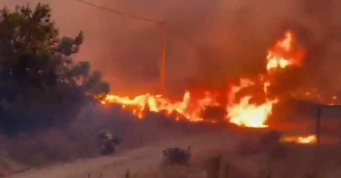 Incendiile din Franța și Spania fac prima victimă. Aproape 270.000 de oameni au fost evacuați