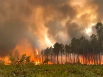 Mii de turiști și localnici evacuați din sud-vestul Franței, după ce un incendiu de vegetație alimentat de caniculă a scăpat de sub control (Video)