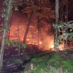 Incendiu de proporții excepționale lângă Paris. Arde celebra pădure Fontainebleau: 900 de locuințe evacuate și intervenție aeriană fără precedent (Video)