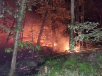 Incendiu de proporții excepționale lângă Paris. Arde celebra pădure Fontainebleau: 900 de locuințe evacuate și intervenție aeriană fără precedent (Video)