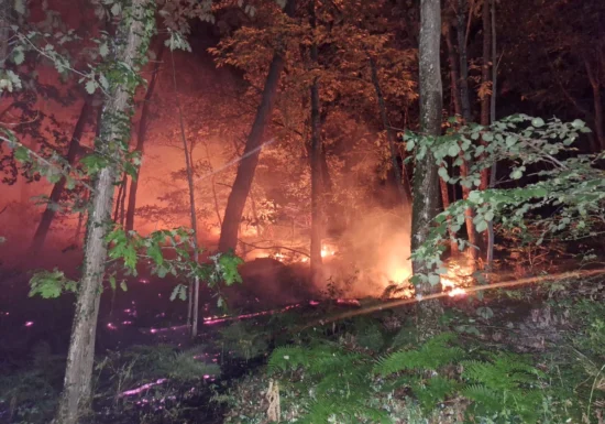 Incendiu de proporții excepționale lângă Paris. Arde celebra pădure Fontainebleau: 900 de locuințe evacuate și intervenție aeriană fără precedent (Video)
