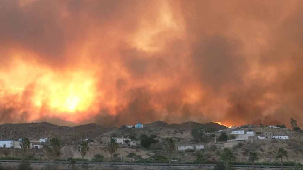 Tragedie în sudul Spaniei: 12 morți în incendiile de pădure din Andaluzia (Video)