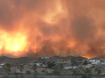 Tragedie în sudul Spaniei: 12 morți în incendiile de pădure din Andaluzia (Video)