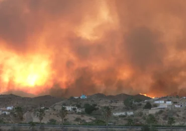 Tragedie în sudul Spaniei: 12 morți în incendiile de pădure din Andaluzia (Video)