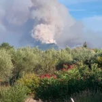 Incendiu de vegetație scăpat de sub control în sud-estul Franței. Flăcările avansează cu viteză foarte mare, sute de oameni au fost evacuați (Video)