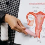 După menopauză, ovarele își schimbă funcția. Descoperirea răstoarnă ceea ce se credea până acum