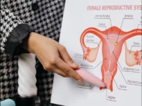 După menopauză, ovarele își schimbă funcția. Descoperirea răstoarnă ceea ce se credea până acum