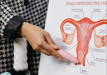 După menopauză, ovarele își schimbă funcția. Descoperirea care schimbă ceea ce se credea până acum