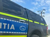 12.000 de lei amendă pentru abandonarea unui câine pe marginea drumului