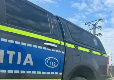12.000 de lei amendă pentru abandonarea unui câine pe marginea drumului