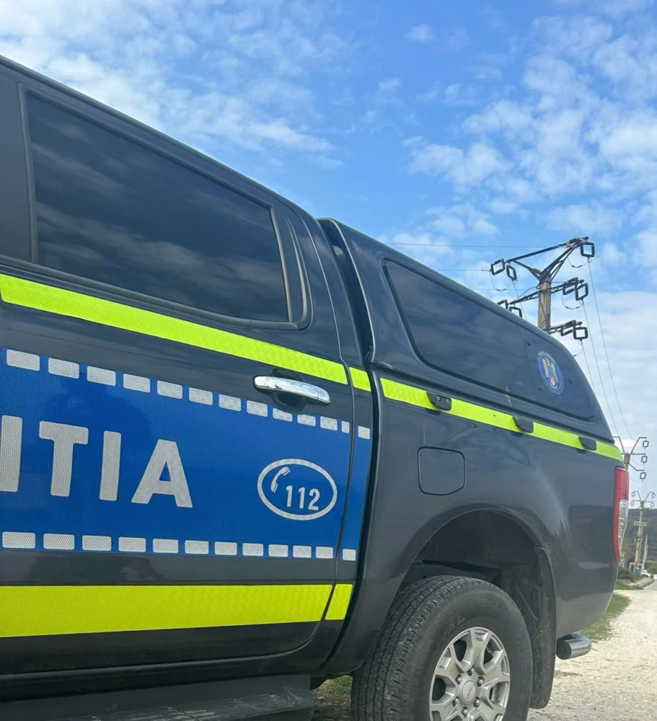 12.000 de lei amendă pentru abandonarea unui câine pe marginea drumului
