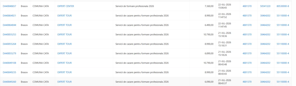 print screen achizitii Cata
