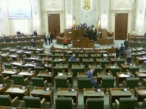 Cum s-au împărțit voturile la legea ANI, respinsă de Senat – Majoritatea voturilor ”pentru” au aparținut PSD și UDMR / 25 de senatori AUR s-au abținut / Senatorii PNL și USR și liderul senatorilor AUR Petrișor Peiu nu au votat