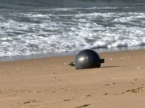 Misterul sferelor apărute pe o plajă din Australia. Autoritățile spun că au găsit un indiciu important
