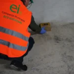Primăria Capitalei explică de sunt mulți șobolani: Deratizarea nu este suficientă