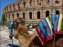 Tunisia, țara în care poți ajunge de la ruinele Cartaginei la dunele Saharei în aceeași zi!
