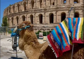 Tunisia, țara în care poți ajunge de la ruinele Cartaginei la dunele Saharei în aceeași zi!