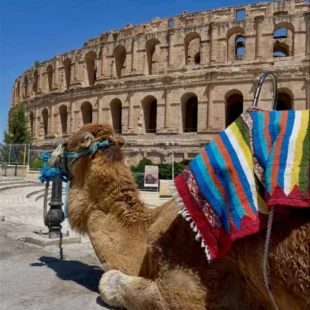 Tunisia, țara în care poți ajunge de la ruinele Cartaginei la dunele Saharei în aceeași zi!