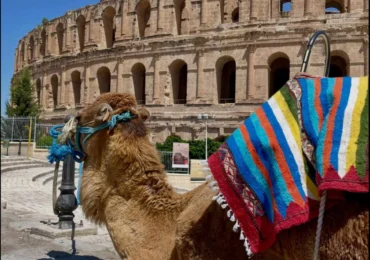 Tunisia, țara în care poți ajunge de la ruinele Cartaginei la dunele Saharei în aceeași zi!