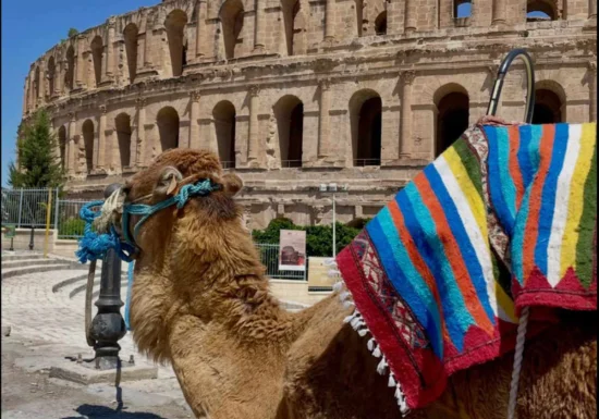 Tunisia, țara în care poți ajunge de la ruinele Cartaginei la dunele Saharei în aceeași zi!