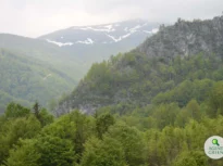 Ministerul Mediului, după acuzațiile AUR privind Strategia pentru conservarea biodiversității: Guvernul a aprobat încă din 2022 o alocare maximă de 500.000 de lei/ Costul total – 373.600 de lei a acoperit întregul studiu tehnic, structurat în opt activită