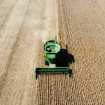 O combinație de factori distructivi amenință grânarele lumii: Puține lucruri au o greutate politică la fel de mare precum prețul pâinii