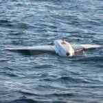 Două drone au intrat în zona Neptun Deep și au fost distruse de scafandrii Armatei (Video)