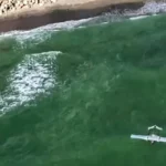 Dronă ucraineană, găsită lângă plaja Tuzla (Video). Încărcătura explozivă a fost detonată