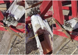 Din nou alertă la Costinești: Un fragment de dronă a ajuns pe plajă, la o zi după descoperirea din mare