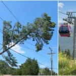 Un copac căzut peste liniile electrice a oprit instalațiile pe cablu din Sinaia. Peste 150 de persoane au rămas blocate la Cota 1400 și Cota 2000 (Video)