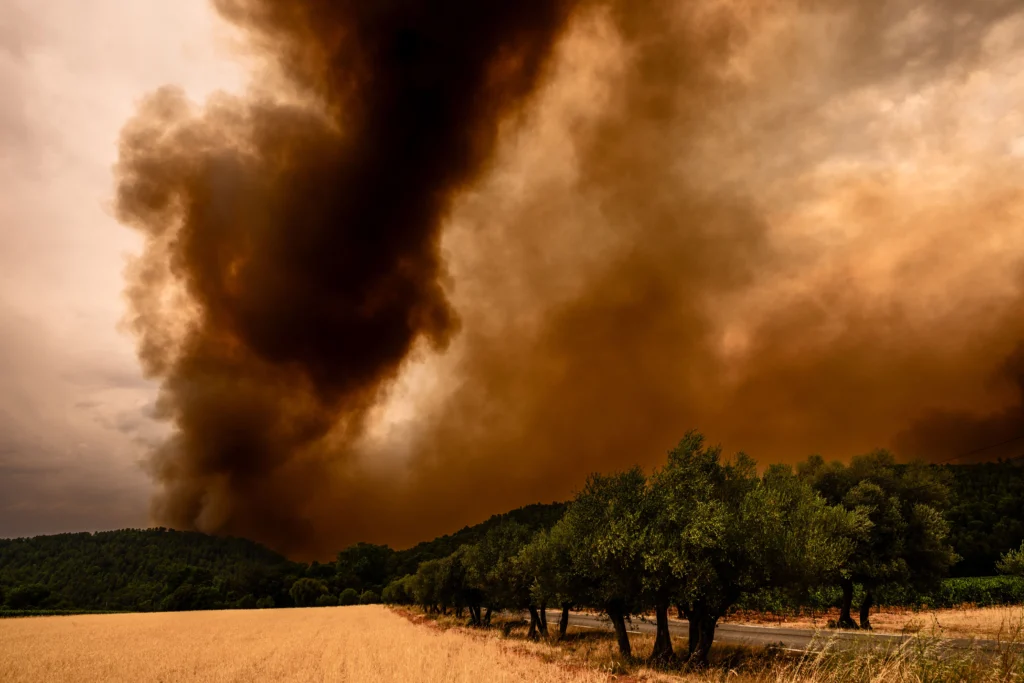 BCE: Criza climatică și degradarea mediului pun în pericol stabilitatea financiară europeană