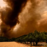 BCE avertizează: Criza climatică și degradarea naturii amenință stabilitatea financiară a Europei