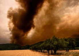 BCE avertizează: Criza climatică și degradarea naturii amenință stabilitatea financiară a Europei