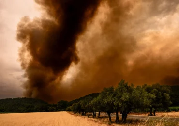 BCE avertizează: Criza climatică și degradarea naturii amenință stabilitatea financiară a Europei