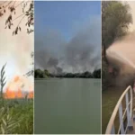 Incendiu puternic în Delta Dunării. Flăcările amenință pădurea, pompierii intervin de pe apă (Video)