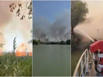 Incendiu puternic în Delta Dunării. Flăcările amenință pădurea, pompierii intervin de pe apă (Video)