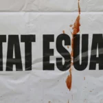Șase lucruri pe care instituțiile statului pot și trebuie să le facă, dacă iau în serios „cazul Pahonțu”
