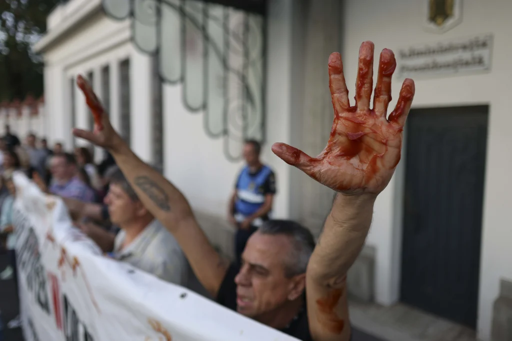 protest Pahontu 3