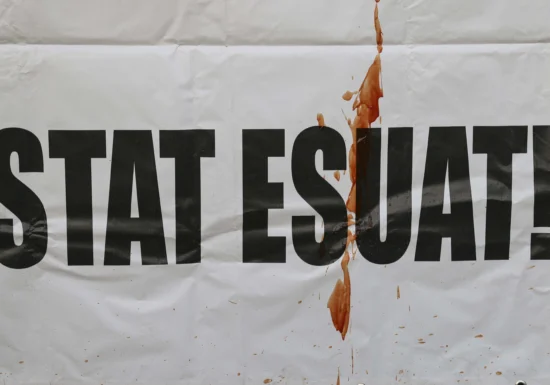 Șase lucruri pe care instituțiile statului pot și trebuie să le facă, dacă iau în serios „cazul Pahonțu”