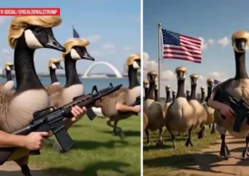 Trump și gâștele înarmate, într-un nou episod al războiului cu Canada (Video)