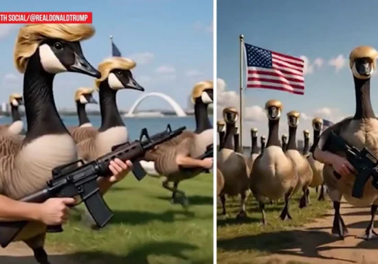 Trump și gâștele înarmate, într-un nou episod al războiului cu Canada (Video)