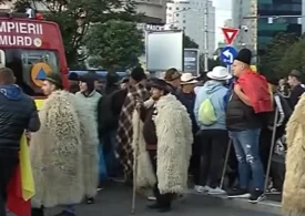 Tensiuni la protestul oierilor: „Țarcurile sunt pentru animale”