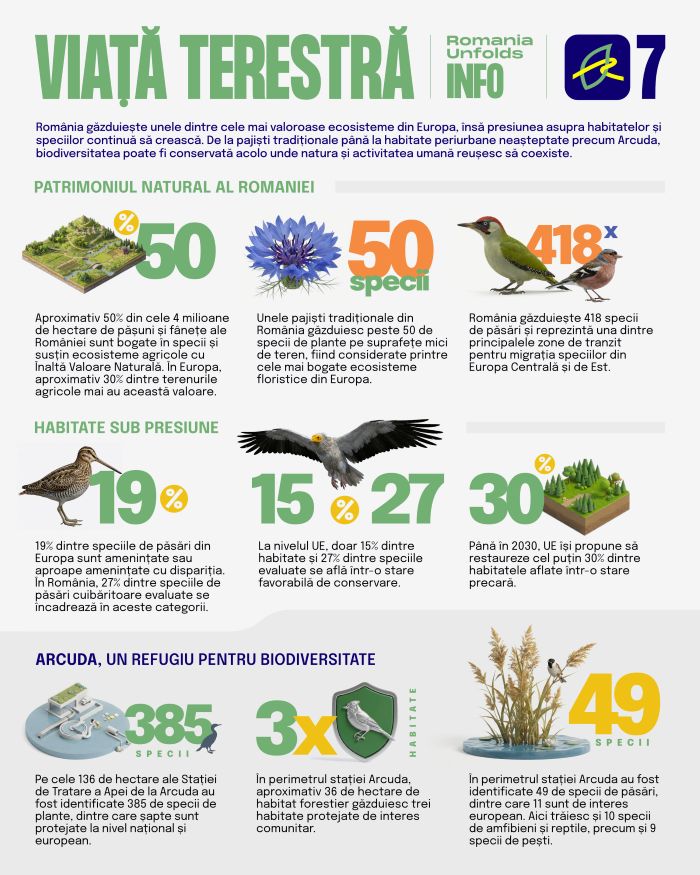 Infografic_Romania Unfolds 7_RO