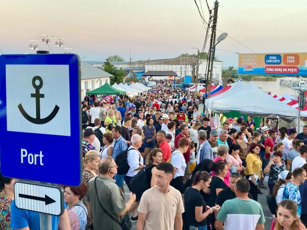 10 autocare au ajuns la Jurilovca, „trimise” de ChatGPT la un festival inexistent. Cum verificăm răspunsurile AI, ca să nu pierdem timp și bani