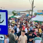 10 autocare au ajuns la Jurilovca, „trimise” de ChatGPT la un festival inexistent. Cum verificăm răspunsurile AI, ca să nu pierdem timp și bani