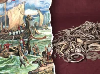 Un bărbat care smulgea buruieni în curte a descoperit o comoară de argint de peste 18 kilograme, veche de 1.000 de ani