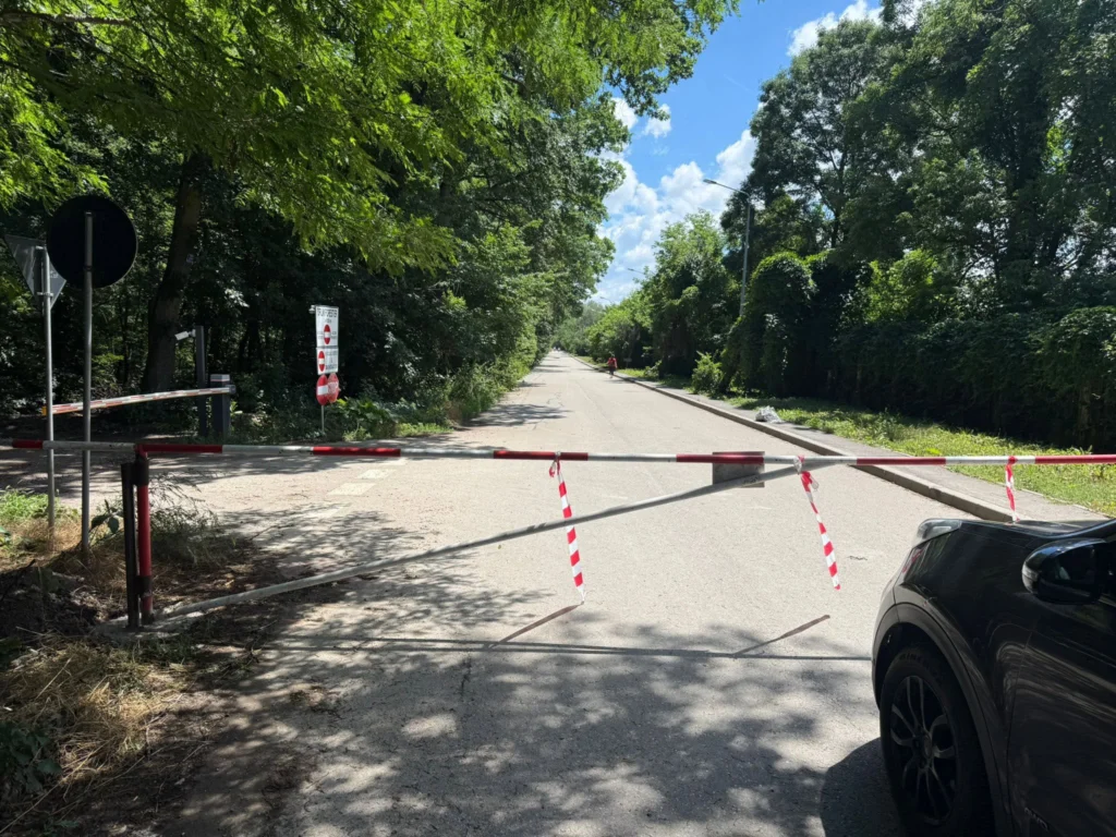 Drumul prin Pădurea Băneasa va fi redeschis traficului auto. „Este un abuz și un ecocid”